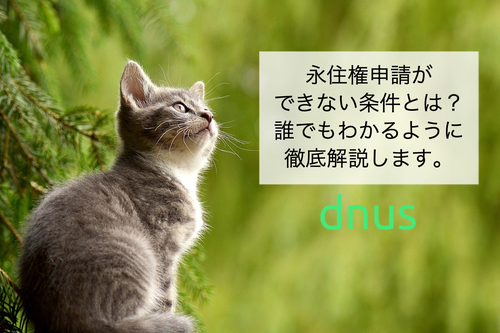 永住権申請ができない条件とは？誰でもわかるように徹底解説します。